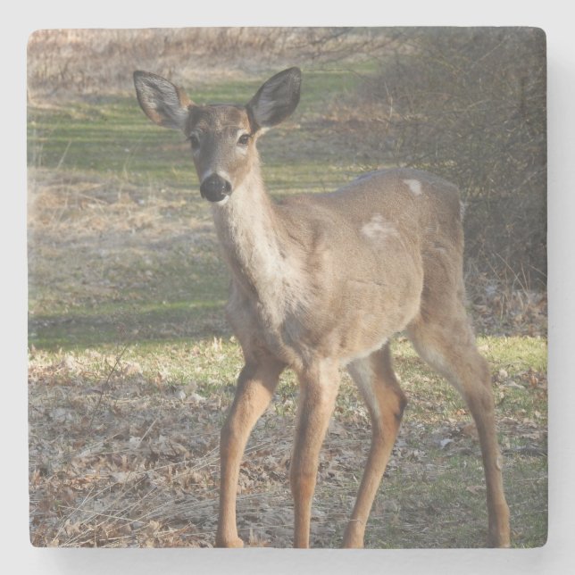 Porta-copo De Pedra Coluna Branca de Veado (Frente)