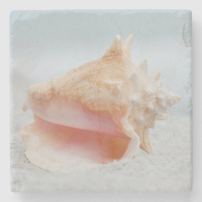 Porta-copo De Pedra Conch Shell (Frente)