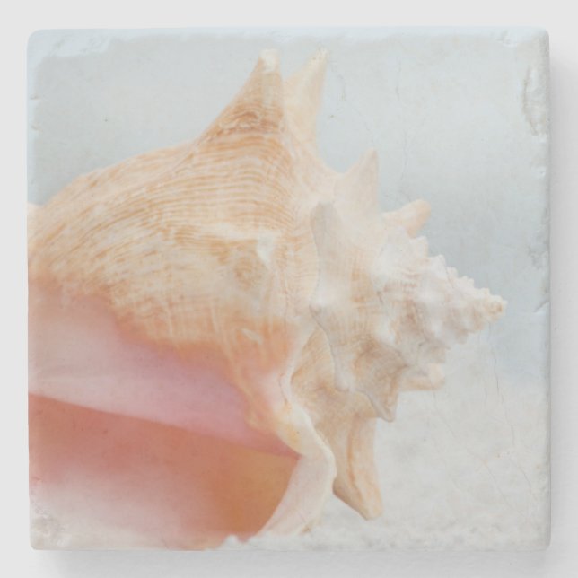 Porta-copo De Pedra Conch Shell | Florida (Frente)