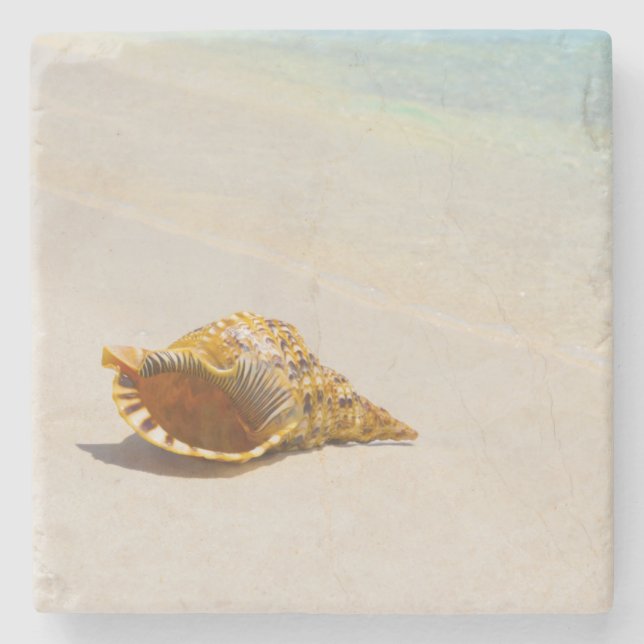 Porta-copo De Pedra Conch Shell na praia 3 (Frente)