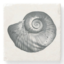 Concha de caracol