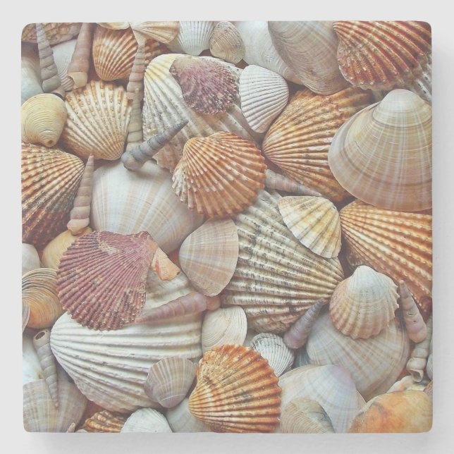 Porta-copo De Pedra Conchas do Mar (Frente)