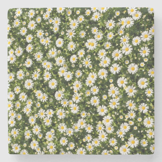 Porta-copo De Pedra Conjunto de Pires Whimsical Daisy Meadow (Frente)
