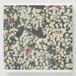 Porta-copo De Pedra Conjunto de Pires Whimsical Daisy Meadow