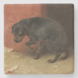 Porta-copo De Pedra Consciência Faz Borricas De Todos Nós