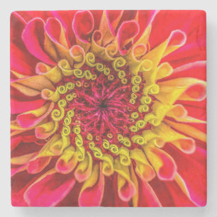 Porta-copo De Pedra Copo de apoio, desenho floral