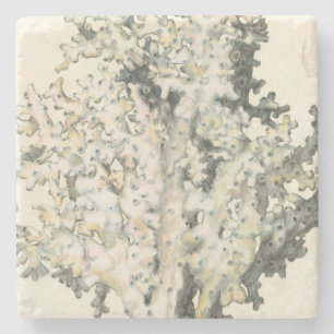 Porta-copo De Pedra Coral de Aquarela Antiquada