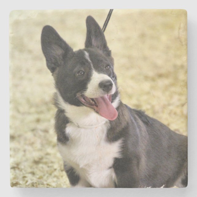 Porta-copo De Pedra Corgi (Frente)