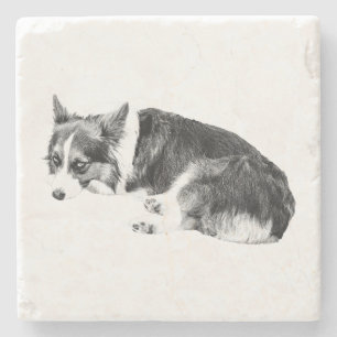 Porta-copo De Pedra Corgi de Pedra, Pausa Compartilhada