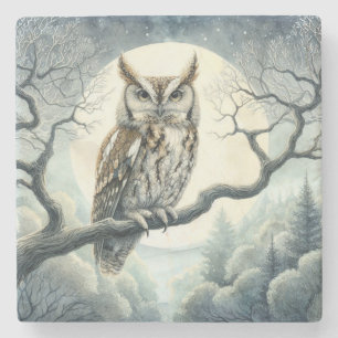 Porta-copo De Pedra Coruja de Ecrã de Arte de Aquarela
