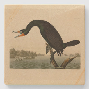 Porta-copo De Pedra Corvo da Flórida das Aves da América de Audubon