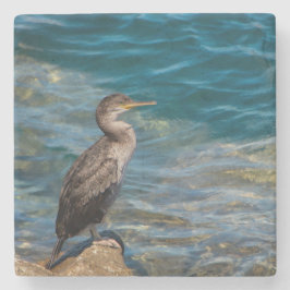 Porta-copo De Pedra Corvo-excelente Nas Rochas