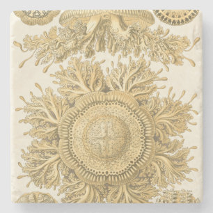 Porta-copo De Pedra Criaturas do Mar do ouro