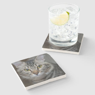 Porta-copo De Pedra Crie Sua Própria Foto Personalizada de Gato de Est