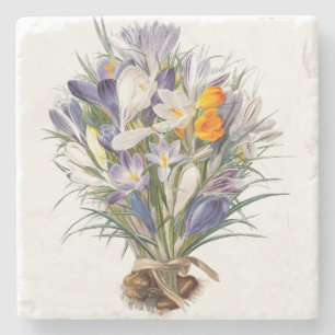 Porta-copo De Pedra Crocus Primavera Fllower Arte Floral