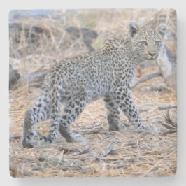 Porta-copo De Pedra Cubo Leopardo Bonito Em Movimento.