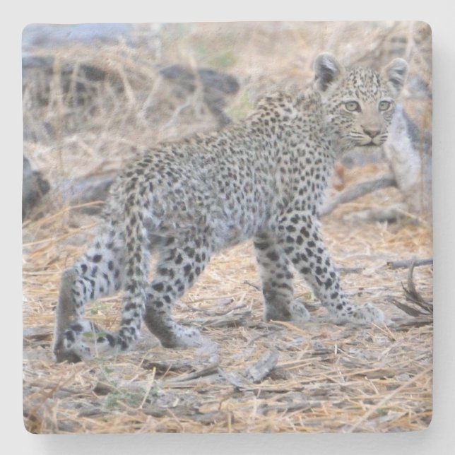 Porta-copo De Pedra Cubo Leopardo Bonito Em Movimento. (Frente)