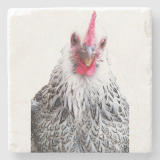 Porta-copo De Pedra Cute Bantam Cochin Hen Photo Stone Coaster