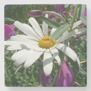 Porta-copo De Pedra Daisy e Fireweed