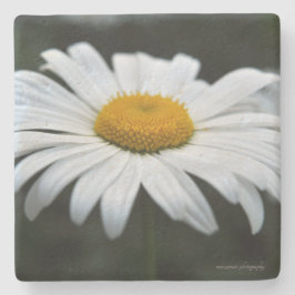 Porta-copo De Pedra Daisy - Enfrentar