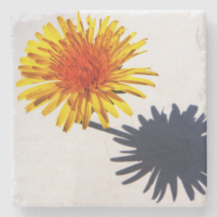 Porta-copo De Pedra Dandelion e o litoral sombra