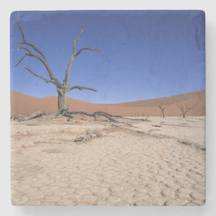 Porta-copo De Pedra Dead Vlei, Sossusvlei, Parque Nacional Namib-Naukl
