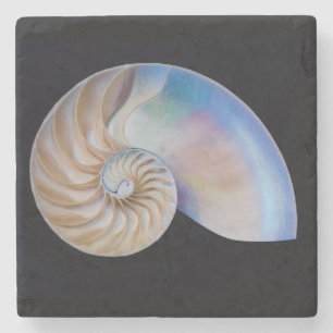 Porta-copo De Pedra Dentro O Nautilus