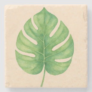 Porta-copo De Pedra Desenho de Folha Verde Monstera.