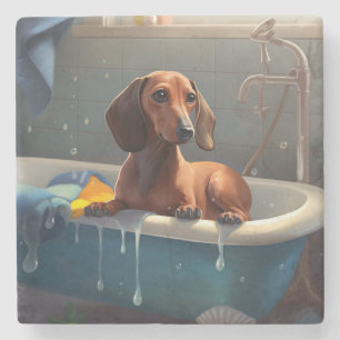 Porta-copo De Pedra Diversão do Dachshund no Banho 