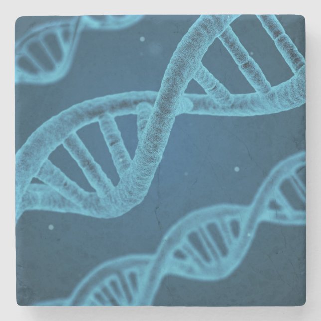 Porta-copo De Pedra DNA Double Helix (Frente)