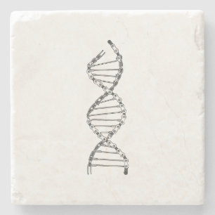 Porta-copo De Pedra DNA Engraçado Ciclismo Corrente Bicicleta Montanha