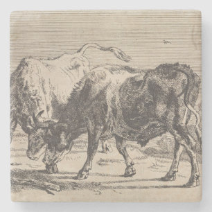 Porta-copo De Pedra Dois Bulls de Combate (por Paulus Potter)