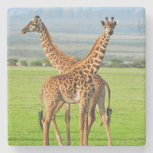 Porta-copo De Pedra Dois girafas
