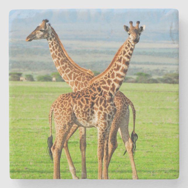 Porta-copo De Pedra Dois girafas (Frente)