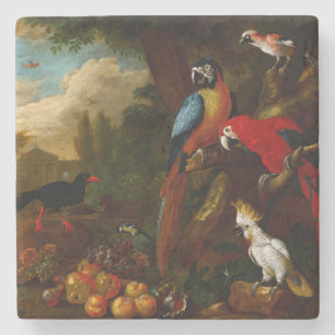 Porta-copo De Pedra Dois Macaws uma Cockatoo e um Jay com Fruta