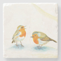 Dois Robins vermelhos no inverno