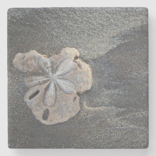 Porta-copo De Pedra Dólar de areia na areia