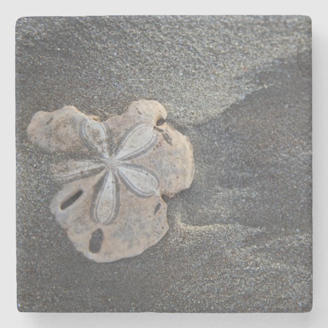 Porta-copo De Pedra Dólar de areia na areia (Frente)