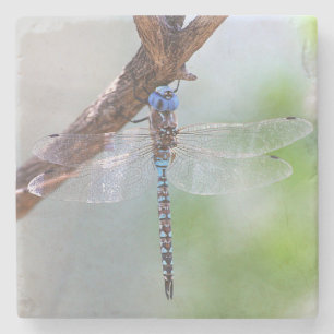 Porta-copo De Pedra Dragonfly Darner de olhos azuis