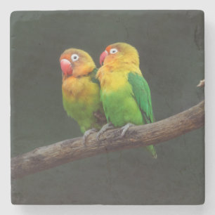 Porta-copo De Pedra Duas aves-pomba em uma ramificação