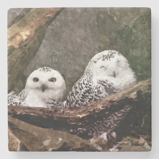 Porta-copo De Pedra Duas Corujas (Frente)