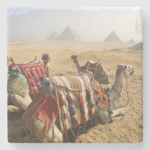 Porta-copo De Pedra Egito, Cairo. Camelos descansando