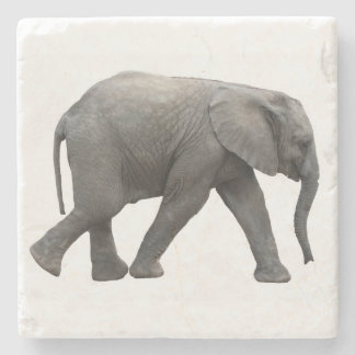 Porta-copo De Pedra Elefante africano