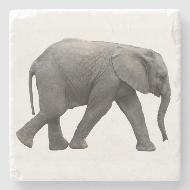 Porta-copo De Pedra Elefante africano (Frente)