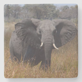 Porta-copo De Pedra Elefante Com Ouvidos Fora.