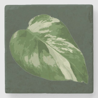 Porta-copo De Pedra Elegant Tropical Leaf – Rare Plant Art