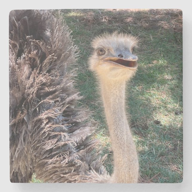 Porta-copo De Pedra Emu porta copos (Frente)