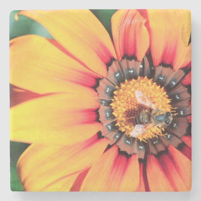 Porta-copo De Pedra Encerramento Extremo De Uma Abelha Que Coleta O Pó (Frente)