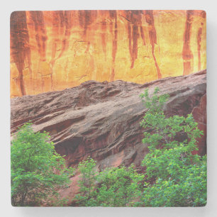 Porta-copo De Pedra Escalante Neon Canyon e Folhagem Utah