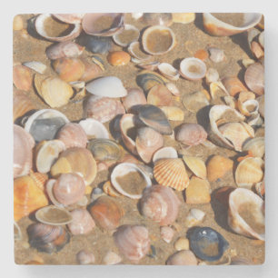 Porta-copo De Pedra Escudos em um Sandy Beach a Andaluzia, espanha